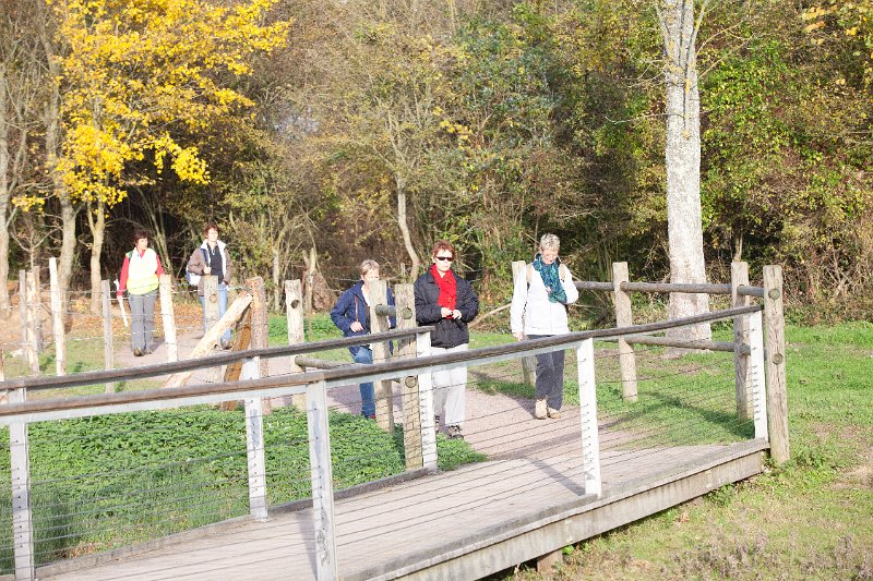 Rando Entre Deux O 2011-2955.jpg